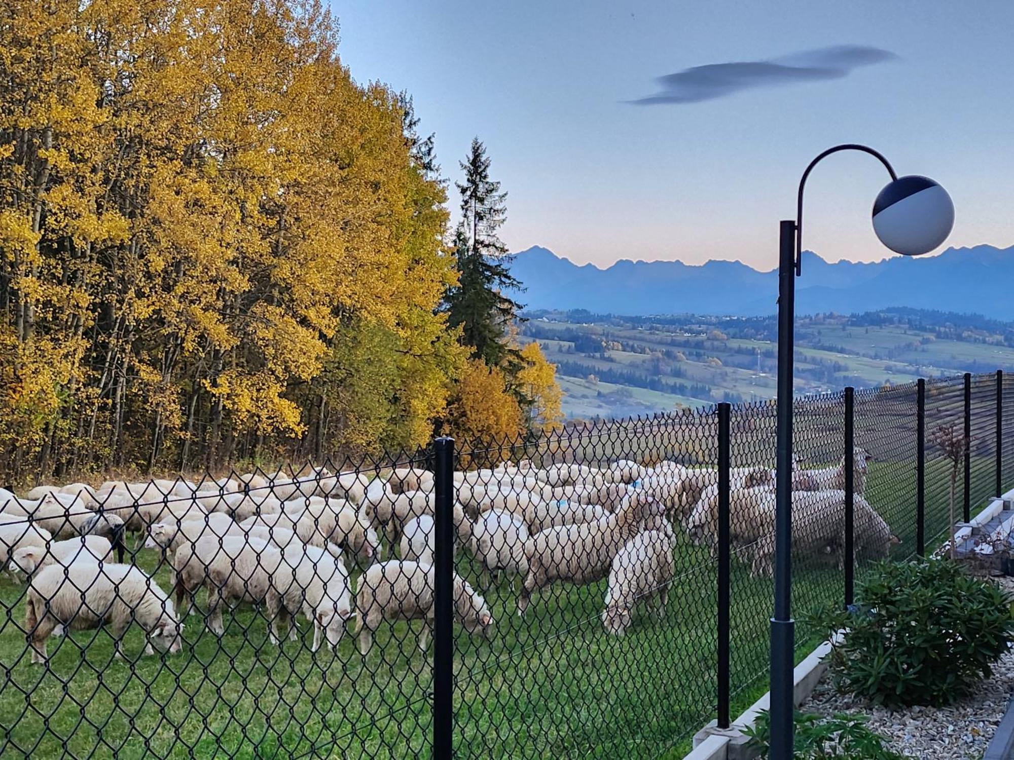 Dworek Nad Jalowcami Biały Dunajec Eksteriør billede